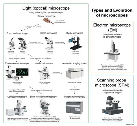 Types Of Microscopes In Forensic Science