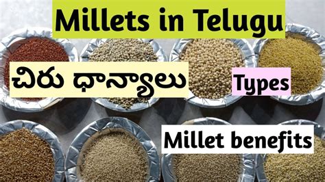 types of millets in telugu