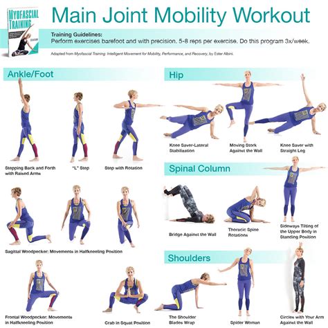 types of mobility exercises