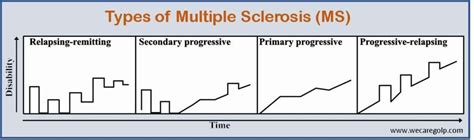 Understanding the Different Types of MS Disease Explained
