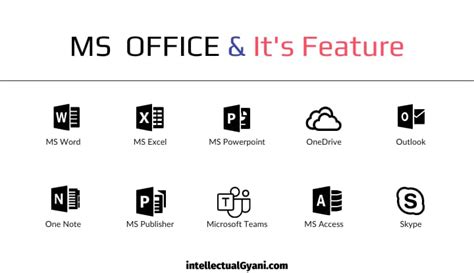 types of ms office and their functions