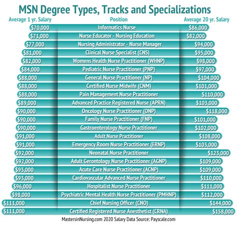 types of msn degrees