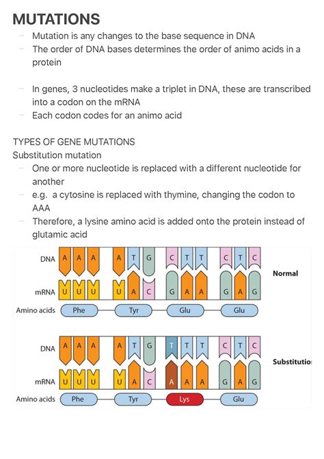 Types Of Mutation Notes
