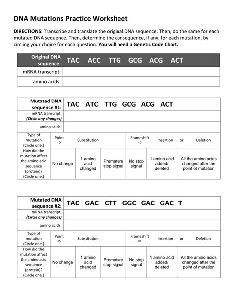 Types Of Mutations Practice
