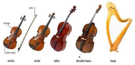 types of orchestral string instruments