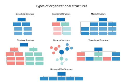 types of organizational structure and examples