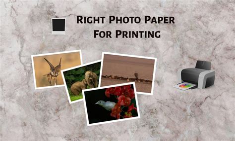 Types Of Photography Paper