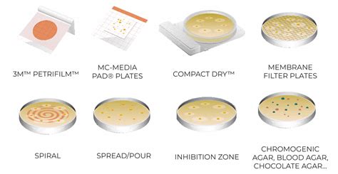 Types Of Plates Microbiology