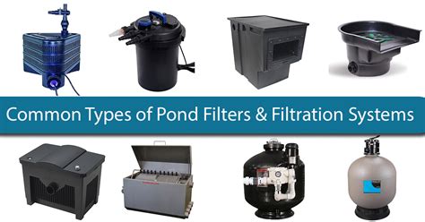 Types Of Pond Filtration Systems