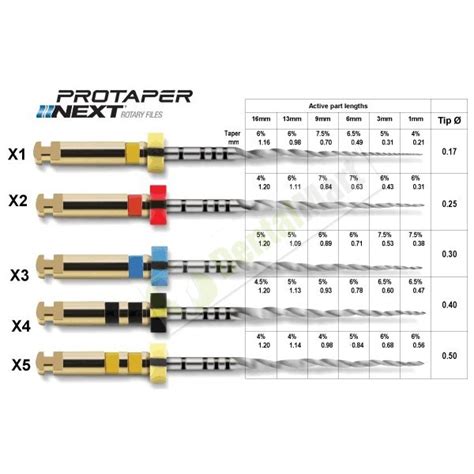 Types Of Protaper Files