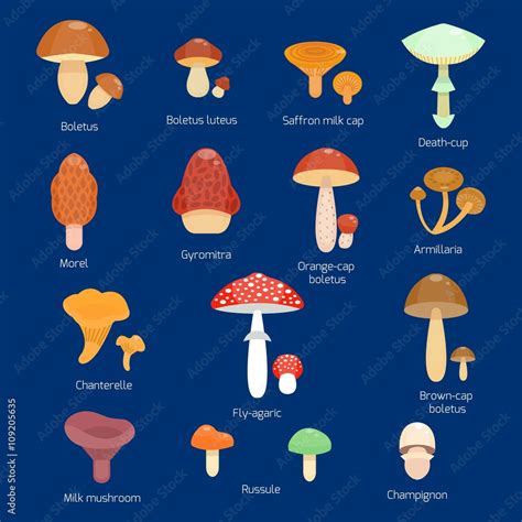 Types Of Red Cap Mushrooms