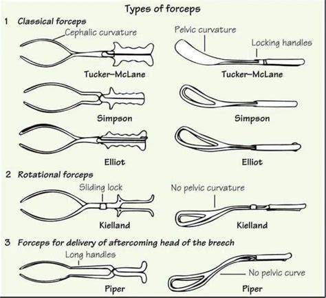 Types Of Ring Forceps
