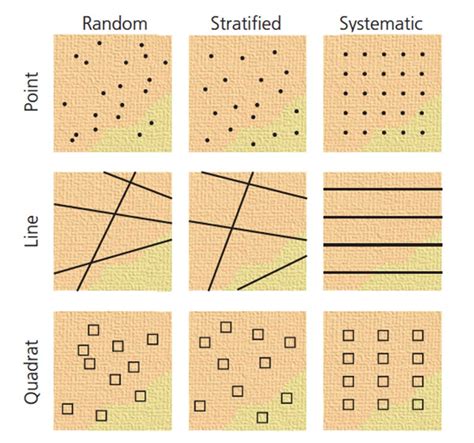 types of sampling methods geography