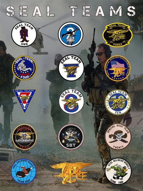 Types Of Seal Teams