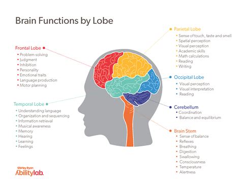 Types Of Side Lobes
