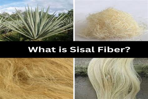 Types Of Sisal Fiber