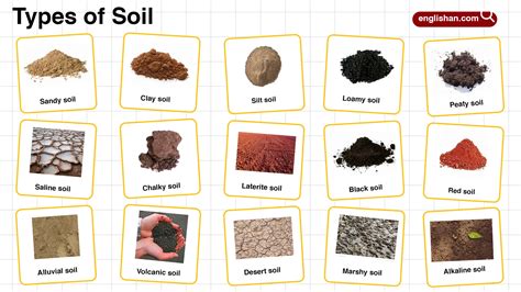 Types Of Soil Chart