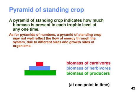 Types Of Standing Crop