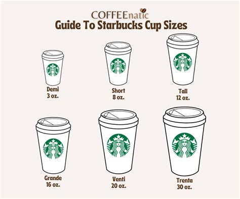 Types Of Starbucks Cups