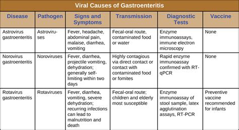 Common Types of Stomach Viruses Explained and Treated Effectively