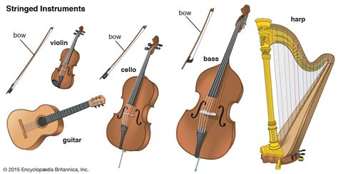 types of string instruments