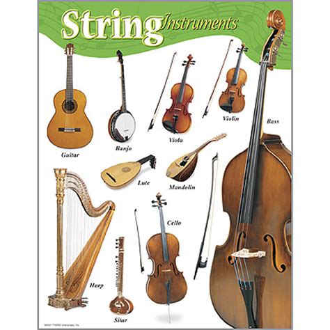 types of string instruments with pictures and names