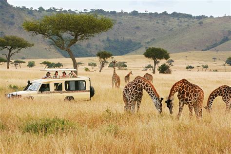 types of tourism in kenya