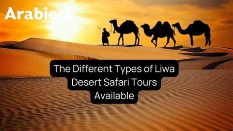 types of tours available