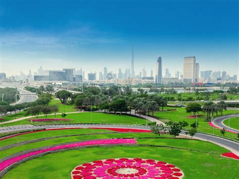 Types Of Trees In Dubai