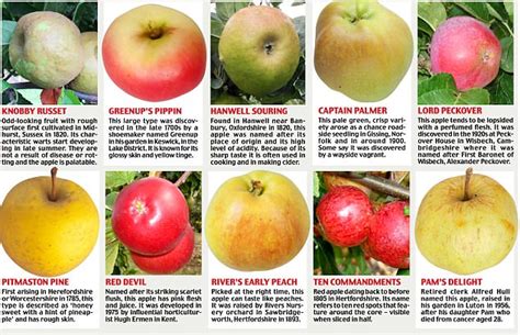 Discovering The Delicious Types Of Uk Apples: Recipes And More!