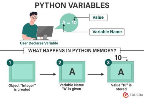 types of variable in python oops