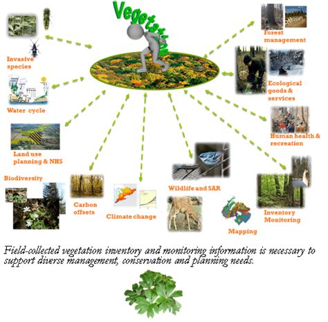 Types Of Vegetation Sampling Methods