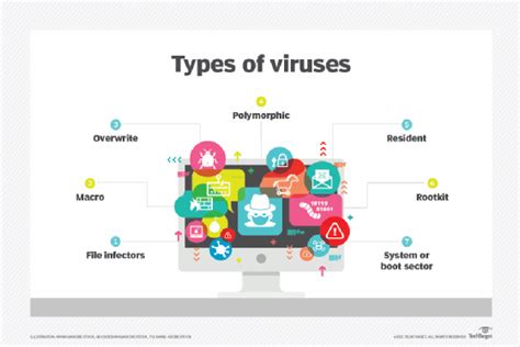 types of virus in cyber security with examples