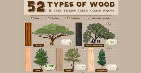 Types Of Wood From Trees