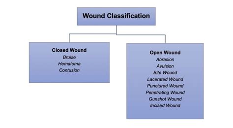 types of wounds in forensic science pdf