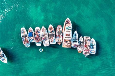 typical turtle boat tour