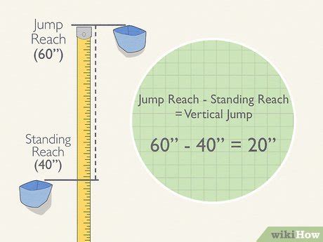 typical vertical jump height
