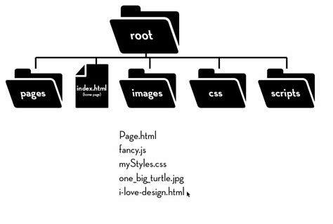 typical website folder structure