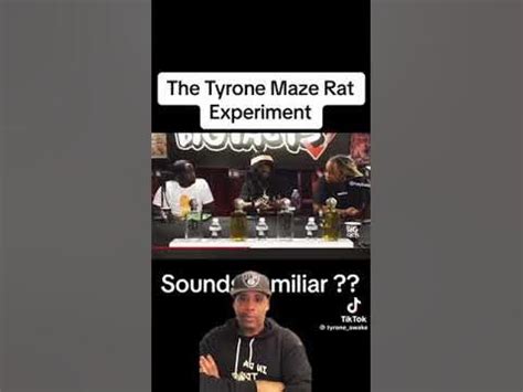 tyrone maze rat
