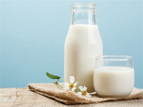 uống sữa không đường có béo không