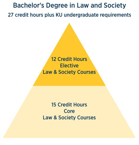 u of c law and society degree plan