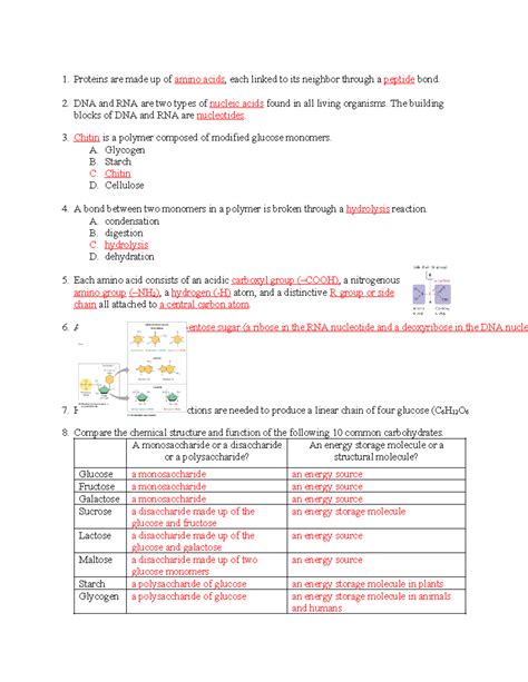 U3 E Study Guide V3.0 Answer Key