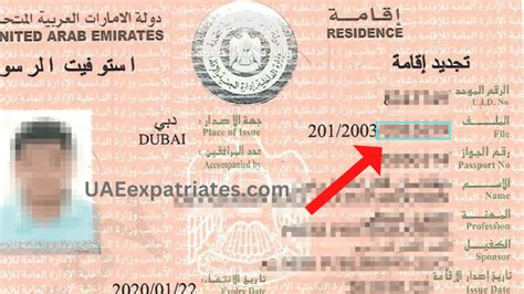 uae visa tracking by passport number