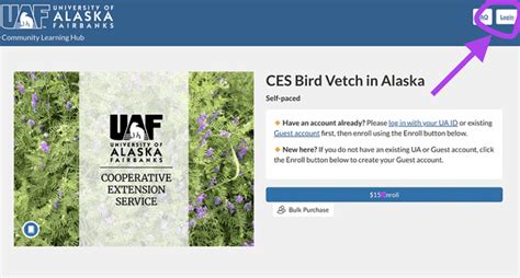 5 UAF Canvas Login Tips