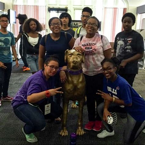 ualbany summer classes