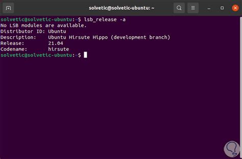 ubuntu 20.04 dhcp renew
