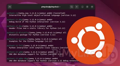 ubuntu install python 3.11 dev