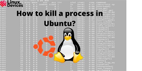 Build A Tips About How To Kill Process In Ubuntu Horsebud99