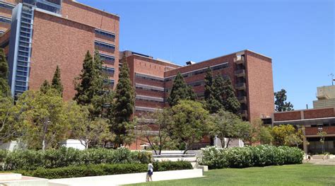 ucla center for health sciences