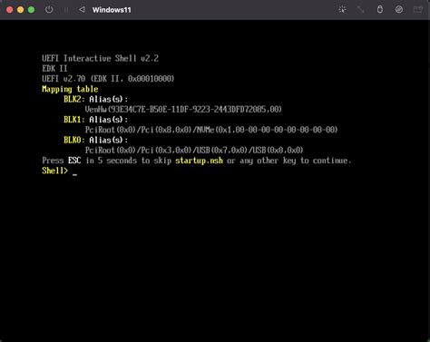 Stuck at UEFI interactive shell 2 by eileenpenguin Jetson Orin